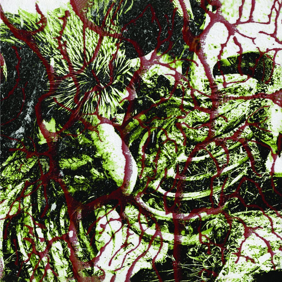 Torturers' Lobby - Deadened Nerves (Cd - Jewel Case)