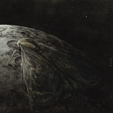 Augrimmer - Moth And The Moon (Cd)