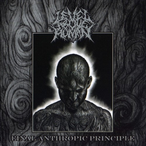 Level Above Human - Final Anthropic Principle (Cd)