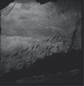 Vspolokh / Vikhr - Amongst Mossy Stones (Cd)