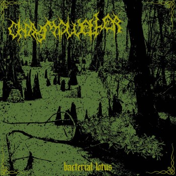 Chasmdweller - Bacterial Lotus (Digipak Cd)