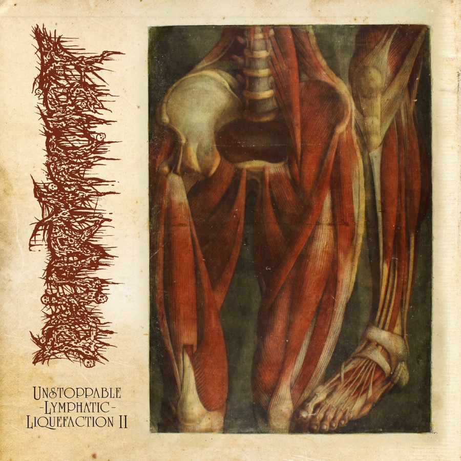 Pharmacist - Unstoppable Lymphatic Liquefaction Ii (Digi-Sleeve Mcd)