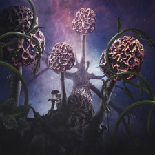 Blut Aus Nord - Hallucinogen (Digipak Cd)
