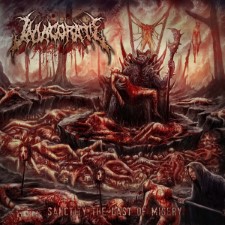 Invigorate - Sanctity Of The Last Misery (Cd)