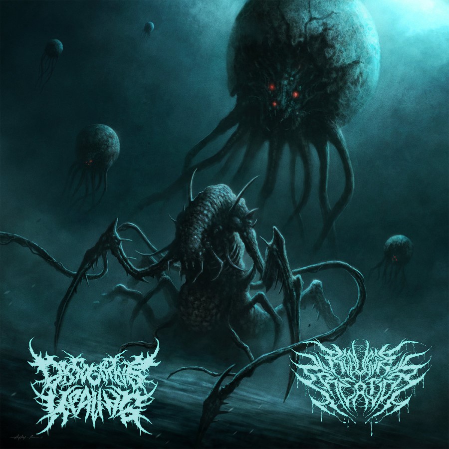 Dissociative Healing / Repulsive Creation - Rakka Split (Cd)