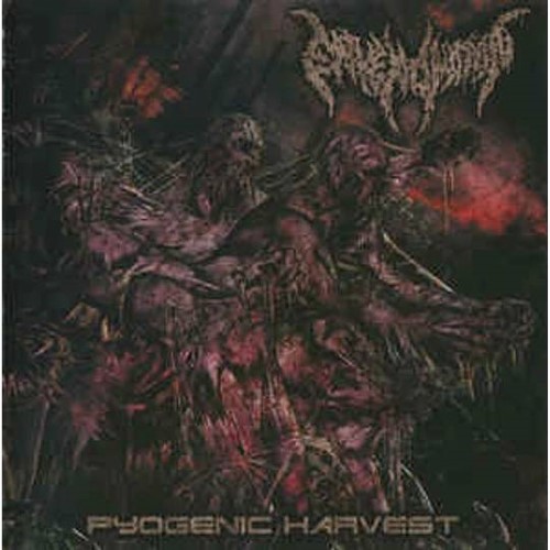 Envenomation - Pyogenic Harvest (Mcd)