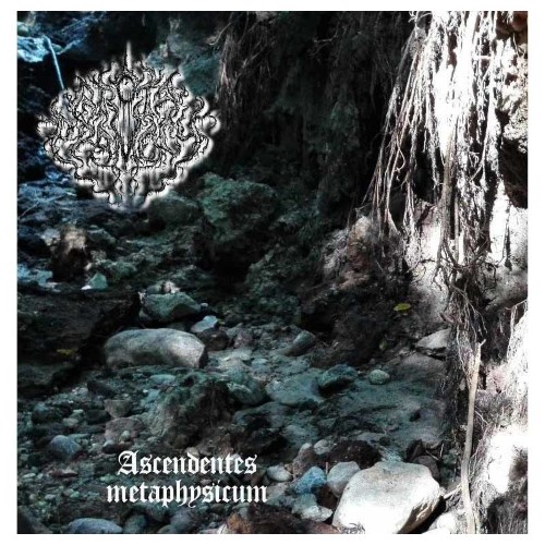 Grota Pramocy - Ascendentes Metaphysicum (Cd)