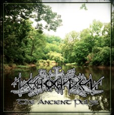 Nechochwen - The Ancient Pulse (Cd Jewel Case)