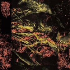 Hissing - Permanent Destitution (Digipak Cd)