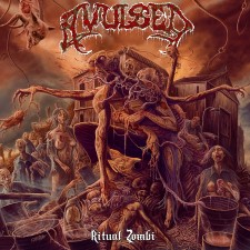 Avulsed - Ritual Zombi (Xtreem Music) (Cd - Jewel Case)