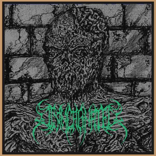 Disincarnated - Their Debris Mortals + Live (Cd - Jewel Case)