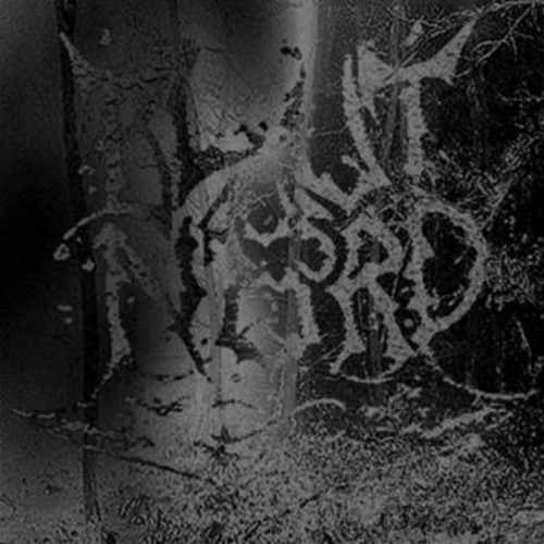 Blut Aus Nord - The Work Which Transforms God (Digipak Slipcase Digipak Cd)