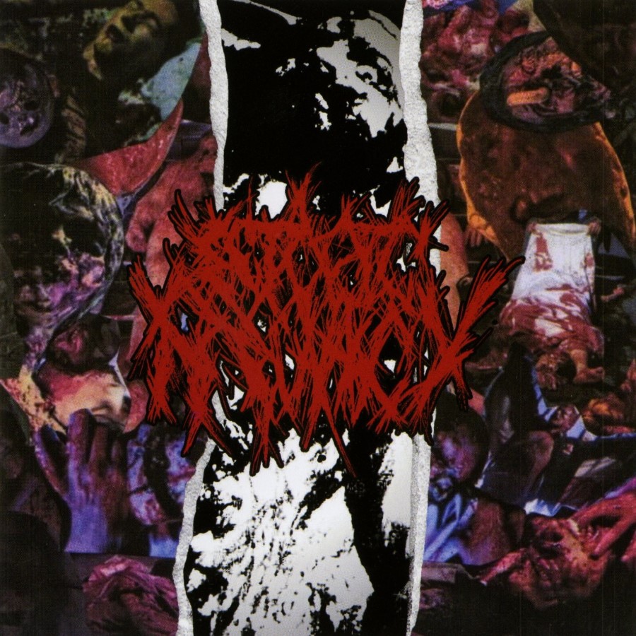 Ectopic Pregnancy - Discography (Cd - Jewel Case)