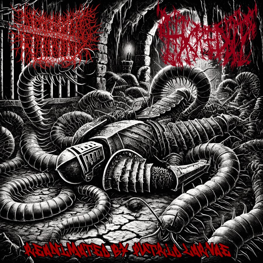 Desecrated Extinction / Hacked Up - Reanimated By Putrid Larvae (Cd - Jewel Case)
