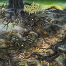 Cerebral Rot - Odious Descent Into Decay (Cd - Jewel Case)