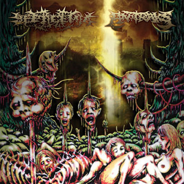 Septicemia / Antraks - Split (Cd)
