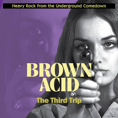 Brown Acid - The Third Trip (12" Lp On Purple Marble Vinyl)