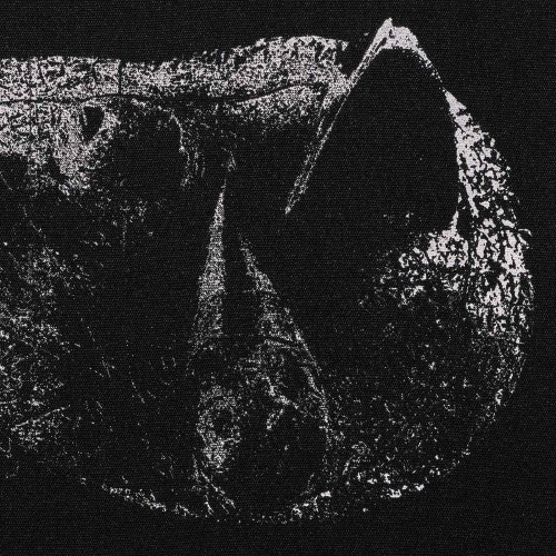 Demon Head - Viscera (12" Gatefold Lp On Clear/Brown Marbled Vinyl)