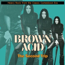 Brown Acid - The Second Trip (12" Lp On Translucent Pink Marble Vinyl)