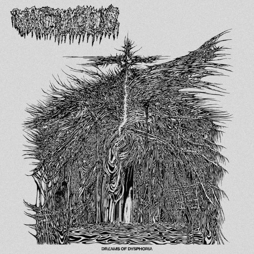 Vacuous - Dreams Of Dysphoria (12" Lp On Black Vinyl)
