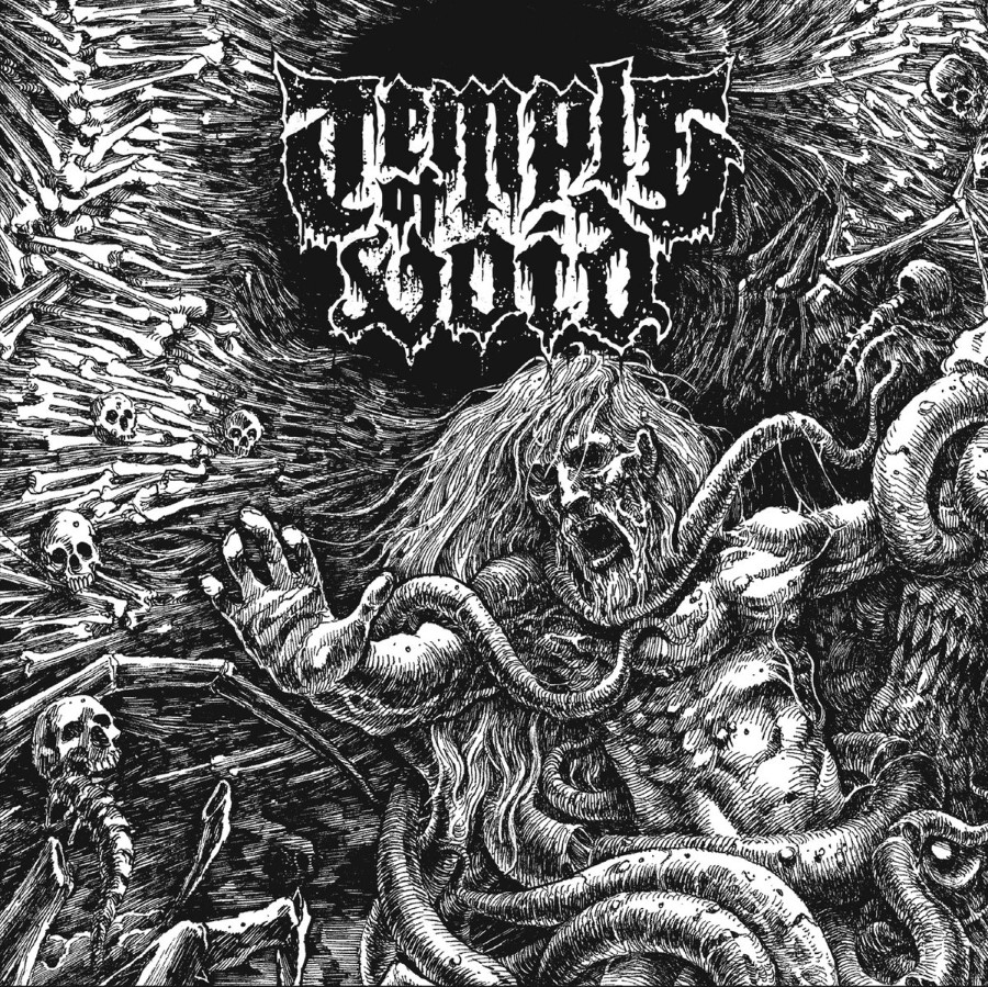 Temple Of Void - The First Ten Years (12" Gatefold Double Lp) (Clear Blue)