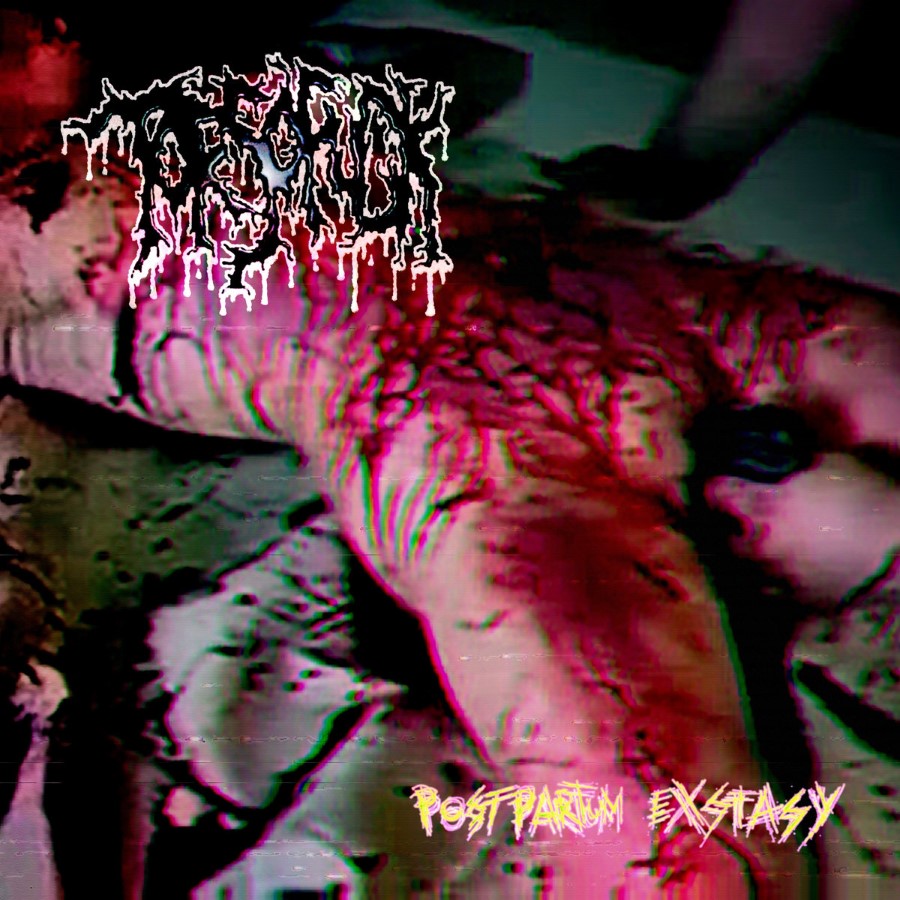 Torsofuck - Postpartum Exstasy (12" Lp On Black Vinyl)