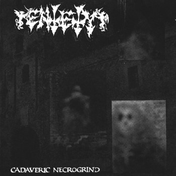 Entety - Cadaveric Necrogrind (12" Lp On Black Vinyl)