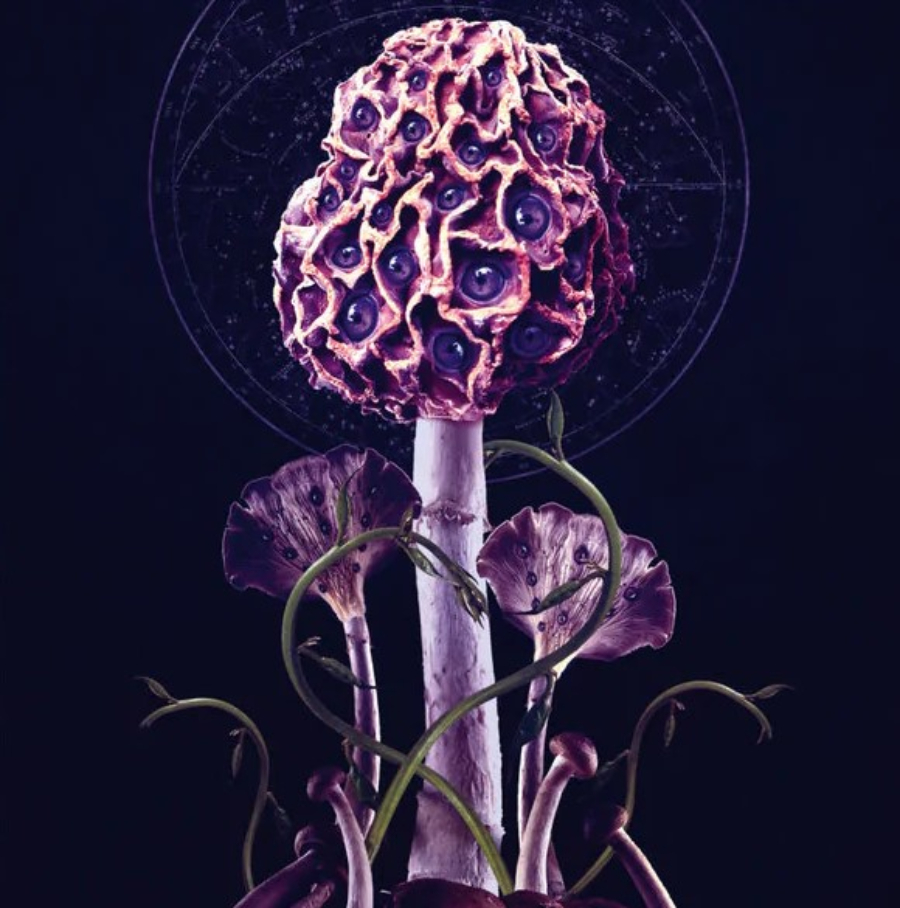 Blut Aus Nord - Hallucinogen (12" Gatefold Double Lp On Pink/Purple Swirl Vinyl W/ Slipcase)