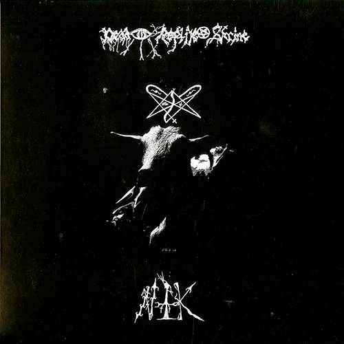 Dead Reptile Shrine - N.T.K. (12" Lp On Black Vinyl)