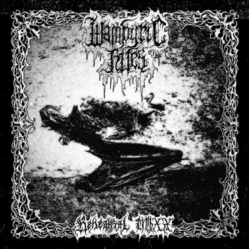 Wampyric Rites - Rehearsal Mmxx (12" Lp On Black Vinyl)