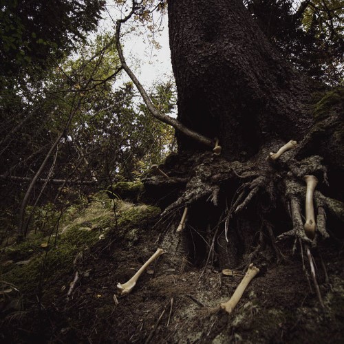 Misantropical Painforest / W.A.I.L. - Dare To Venture Down To Earth, Father! Perish Into Nothingness (12" Lp On Black Vinyl)
