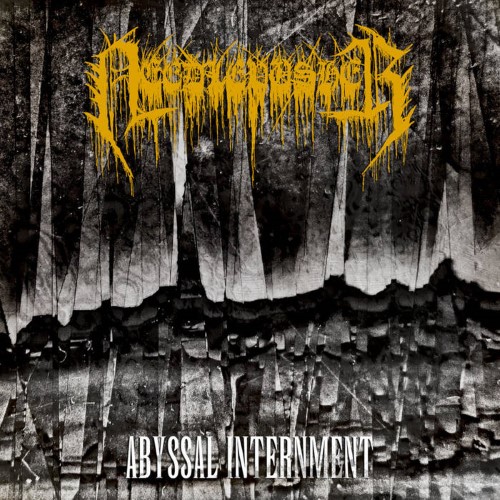 Needlepusher - Abyssal Internment (12" Lp On Black Vinyl)