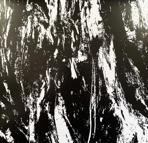 Carved Cross / Empire Of Hate - Split (12" Lp On Black Vinyl)