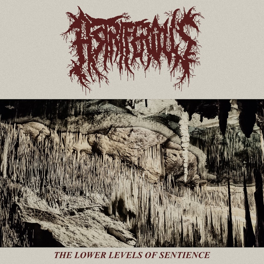 Astriferous - The Lower Levels Of Sentience (12" Mlp On Black Vinyl)