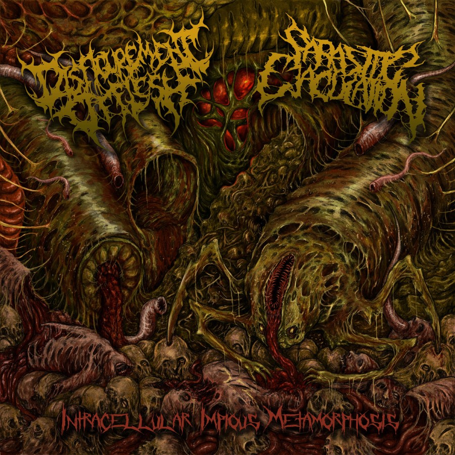Disfigurement Of Flesh / Parasitic Ejaculation - Intracellular Impious Metamorphosis (7" Ep)