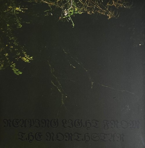 Nachtlich - Reaping Light From The Northstar (7" Ep)