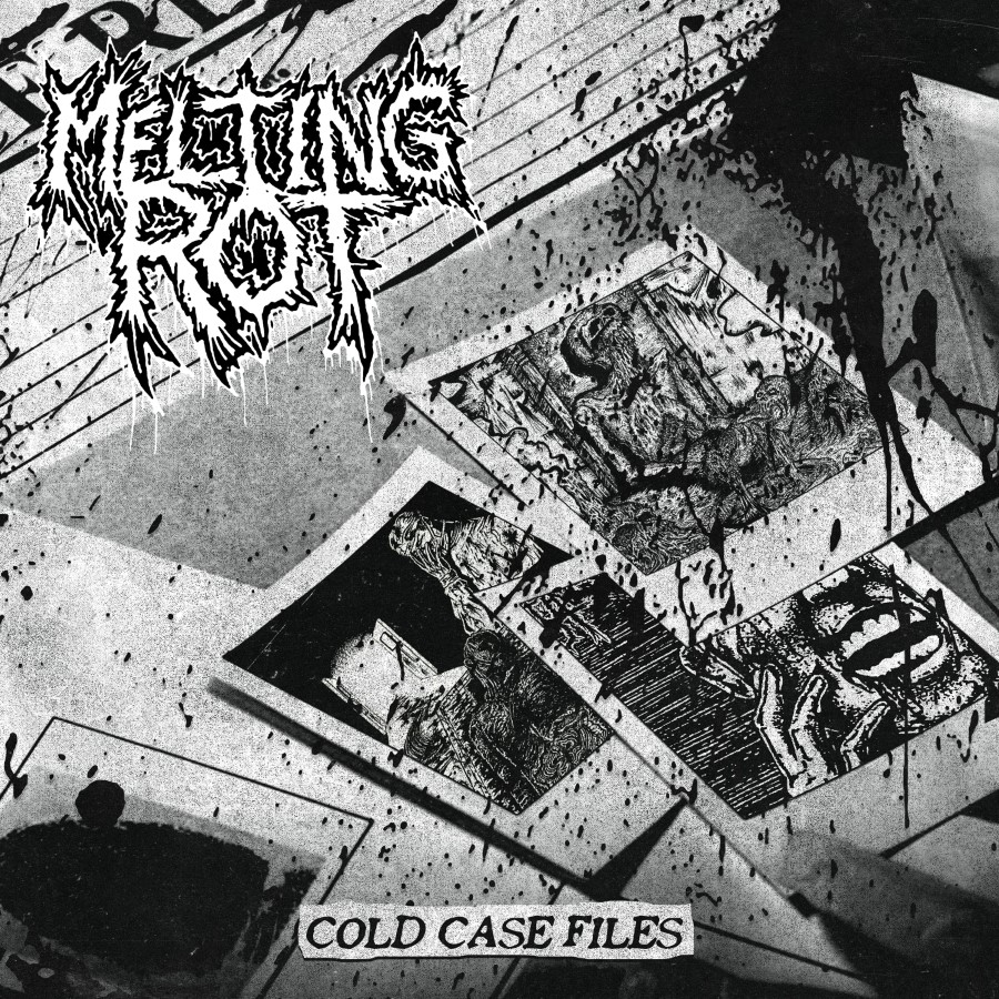 Melting Rot - Cold Case Files (12" Lp On Silver Vinyl W/ Black Galaxy)